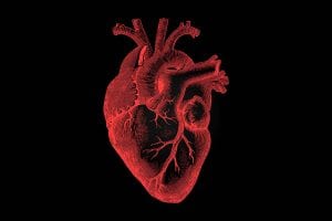 Heart Disease